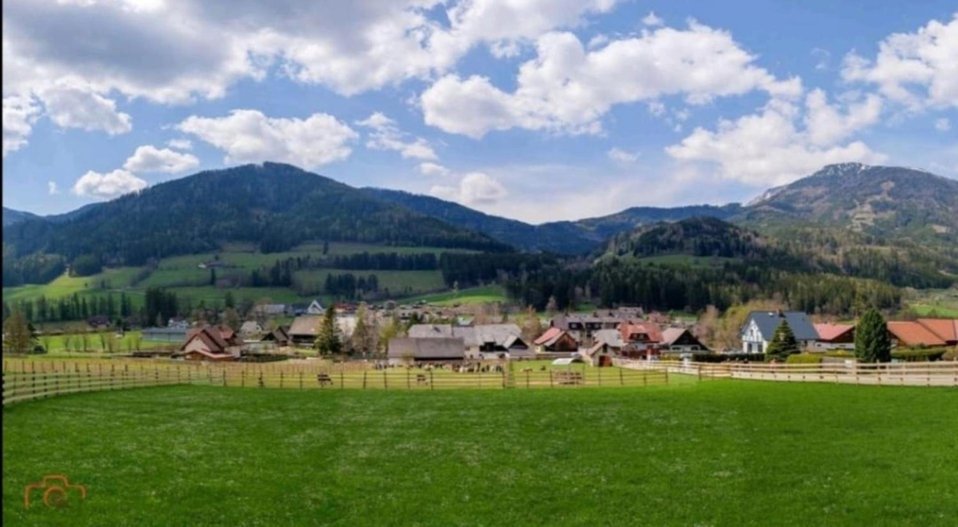 Alpakas, Lamas Und Rentiere Zum Gruenen See Grossdorf  Esterno foto