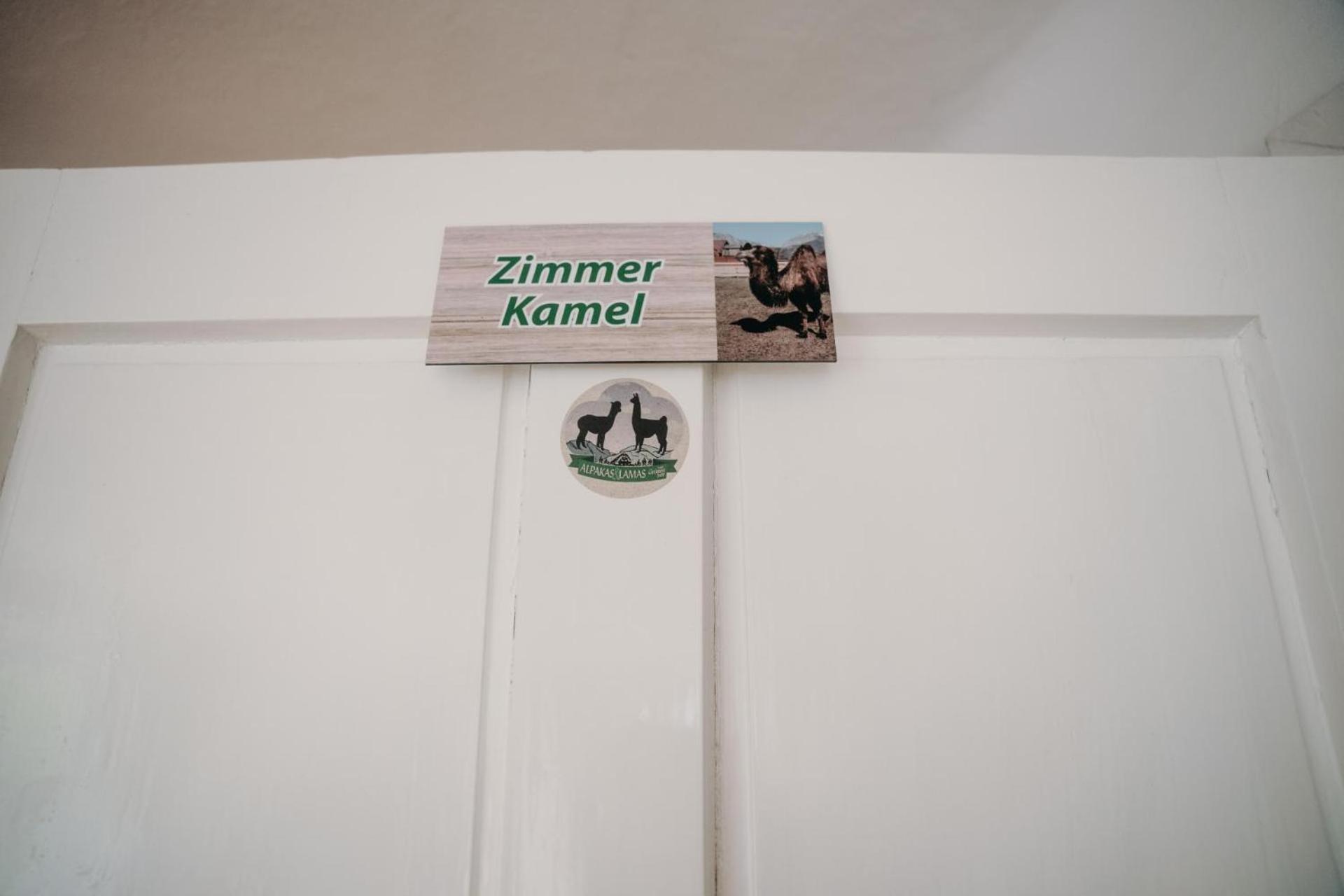 Alpakas, Lamas Und Rentiere Zum Gruenen See Grossdorf  Esterno foto