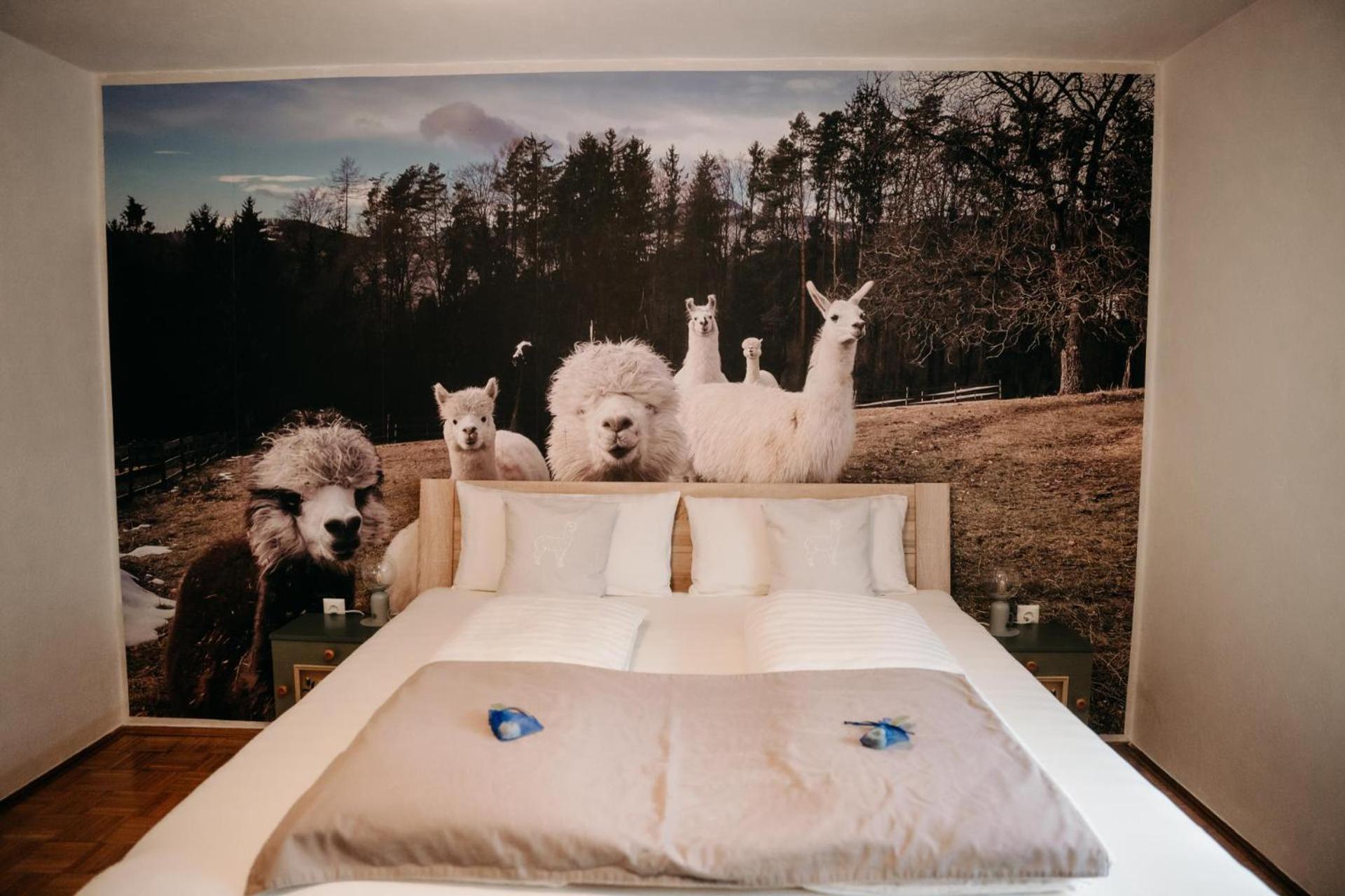 Alpakas, Lamas Und Rentiere Zum Gruenen See Grossdorf  Esterno foto