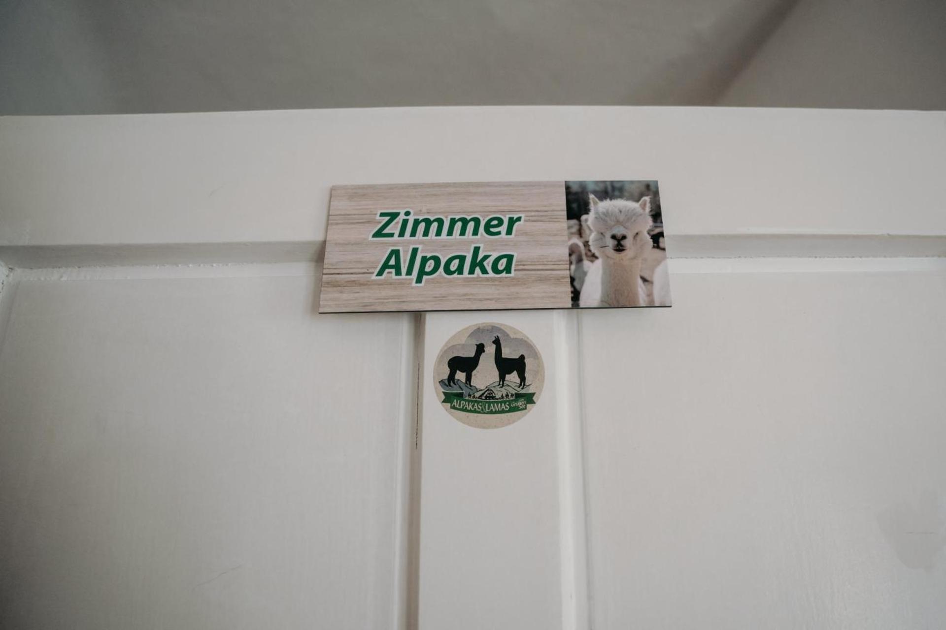 Alpakas, Lamas Und Rentiere Zum Gruenen See Grossdorf  Esterno foto
