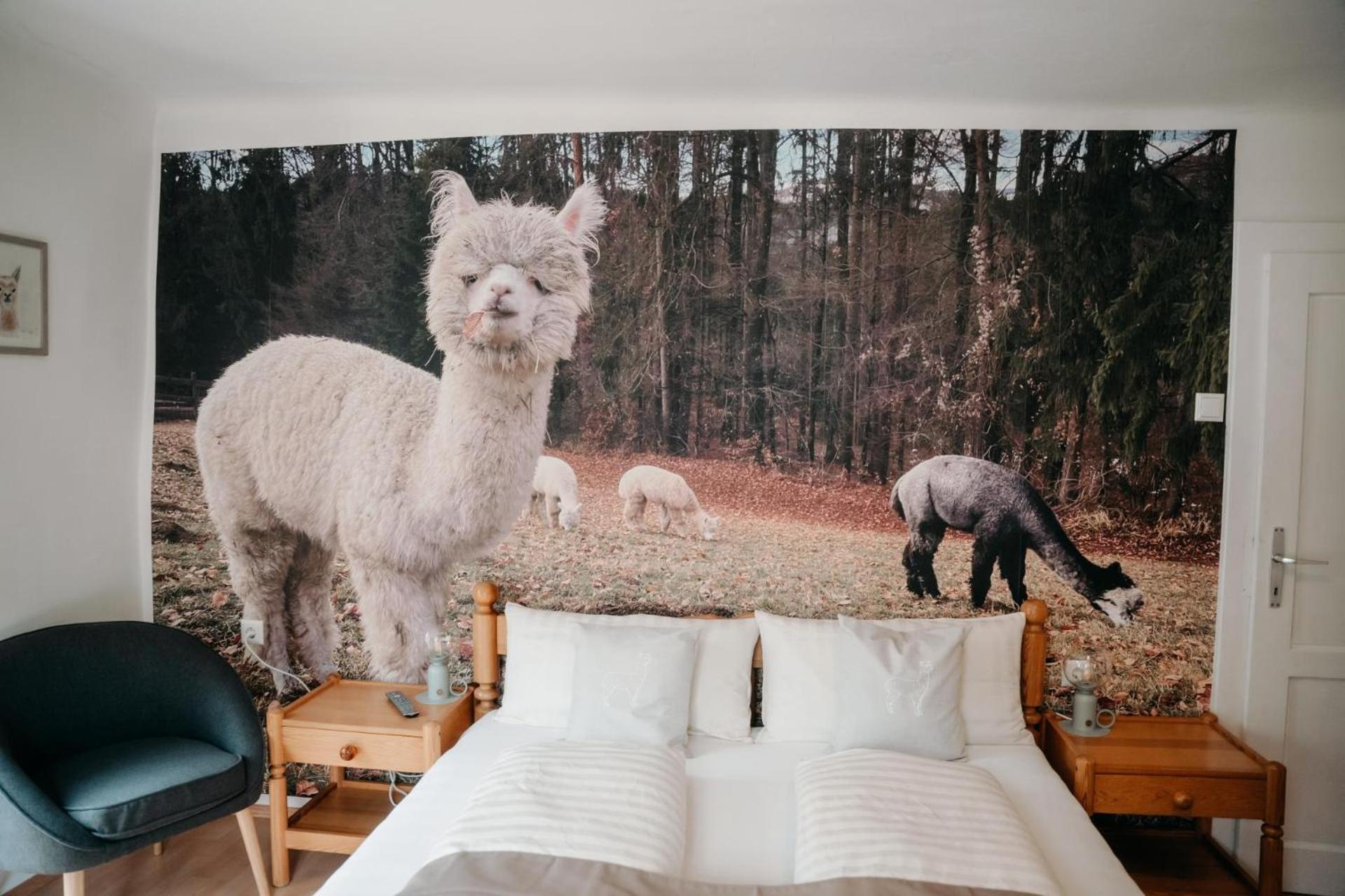 Alpakas, Lamas Und Rentiere Zum Gruenen See Grossdorf  Esterno foto
