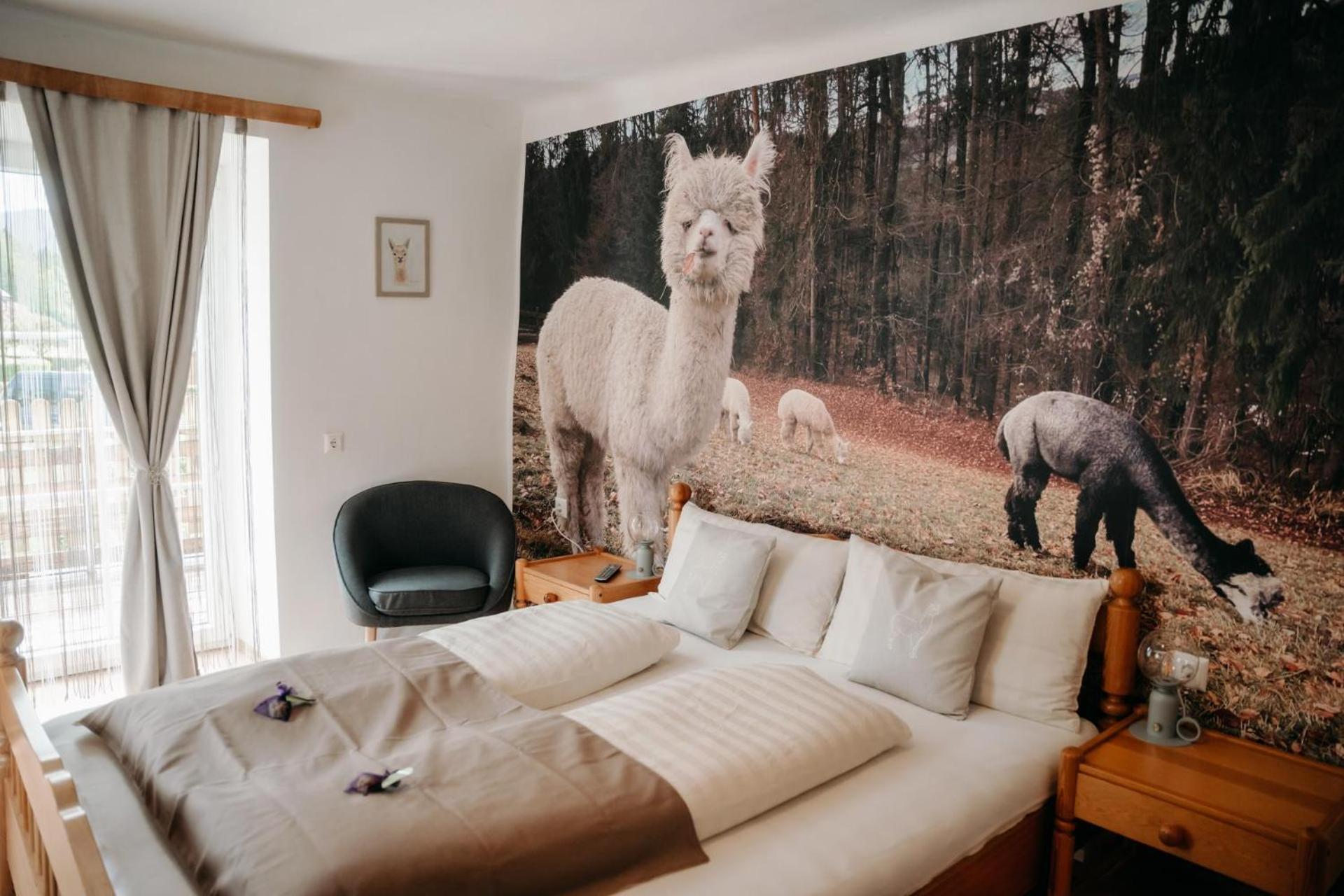 Alpakas, Lamas Und Rentiere Zum Gruenen See Grossdorf  Esterno foto