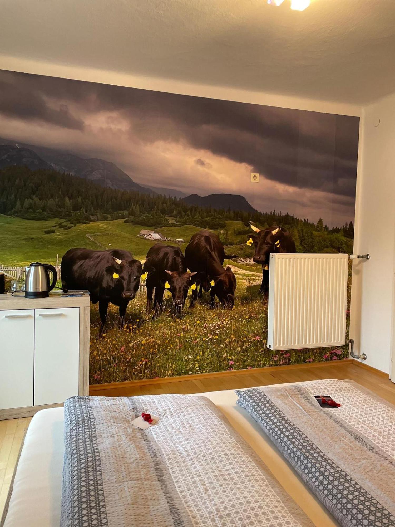 Alpakas, Lamas Und Rentiere Zum Gruenen See Grossdorf  Esterno foto